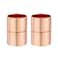 ZOWZEA Straight Coupling Copper Fittings 1 Inch Copper Pipe Welding Joint Connector Adapter For HVAC Air Conditioning 2 Pack