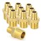 TAISHER 10PCS Brass Pipe Fitting Reducer Adapter Hex Nipple 12Inch Male Pipe x 38Inch Male Pipe