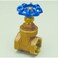 PROFLO PFXT300G 1 Non Rising Stem Gate Valve NA