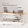 pamo PAMO Cable Management Under Desk for Easy mounting UnderTable I Set of 3 with 10X Cable Ties I Desk Organizer for OfficeHome Office Table Thoughtful Cable Tray Holder