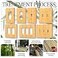 Pesatty 1PC Solid Wood Light Switch Plate 48 X 314 Light Switch Cover Quality Raw Switch Plate Single Toggle Wooden Decorative Wall Plate Bamboo