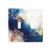 Wpshijia Art Marble Abstract 2 Gang Double Toggle Wall Plate Cover Decirative Electrical Faceplate Blue And Gold Fluid Light Switch Plate for Bathroom Kitchen Home