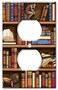 Art Plates Books In Library Switch Plate Outlet Cover