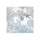 ranedula Blue Teal Coastal Starfish Seashell Coral Sea Ocean Beach 2 Gang Double Toggle Light Switch Wall Plate Cover Electrical Faceplate for Bathroom Home Living Room Jumbo Size Decor