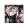Wpshijia Dark Floral 2 Gang Double Toggle Wall Plate Cover Boho Peony Floral Decirative Electrical Faceplate Black Flower Light Switch Cover Plate for Bathroom Kitchen Home