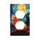 TOLONDINA Galaxy Cat Oil Painting Single Duplex Outlet Light Switch Plate Cover Decor Wall Plate Decorative Outlet Cover For Home Bedroom Kitchen 45 276 Inches