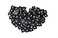 South Main 1in Mounting Pad 100Pack Black Speciality Cable Tie