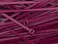 SECURE CABLETIES Secure 14 Inch 50 lb Plenum Rated Standard Nylon Cable Tie 100 Pack