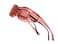 Calabria Unisex Fitover Safety Glasses with Tinted Lenses 100330006000FL41 Pink 3 Pack Fit Over Eyeglasses for Light Sensitivity Blue Light UV Protection Glasses