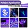 COSOOS UV Black Light Flashlight 395nm Mini Pen Light with Clip Waterproof Ultraviolet Flashlight for Leak Pet Urine Scorpion Hotel Inspection Dry Stain and Bed Bug