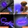 EverBrite Red Light Flashlight with 395nm Blacklight UVWhite Light MultiFunction LED Pocket Pen Light AAA Batteries Included for Night Vision Pet Stain Detection Camping