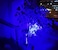 WONDSUNSON 2 x Blue Light Penlight Pen Type Flashlight One Mode Blue Light LED Torch for Camping Hiking Fishing Hunting Animal Protecting Night Vision