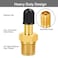 GODESON 14 NPT Tank Valve AntiCorrosion Brass Schrader Valve with 14 Male NPTUsing with Air Compressor TanksPack of 4