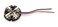 Tolxh 290680001 18V Hammer Drill Motor Brushes R8611501 R86008 Premium and Durable Replacement Parts New