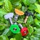 ANJIESENG Universal Pressure Washer Nozzles 14Inch Quick Connect Hot85 or ColdWater Use power washer tips Set of 5 pcs 45 Orifice