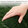 BSICPRO Large Bathroom Rugs 24X36 Inches Bath Mats Non Slip Soft Absorbent Microfiber Bath Rugs Quick Dry Bathroom for Shower Floor Machine Washable Forest Green