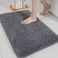 COSY HOMEER Bath Rugs for Bathroom Extra Thick AntiSlip Bath Mats Soft Plush Yarn Shaggy 100 Strong Mirco Polyeste Mat Living Room Bedroom Mat Floor Water AbsorbentDark Grey20x32 Inches