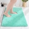 Disolla Mint Green Bathroom Rug 17x24 NonSlip Plush Small Bath Mat Highly Absorbent Ultra Soft Fluffy Floor Mat Machine Washable for Shower and Tub