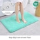 Disolla Mint Green Bathroom Rug 17x24 NonSlip Plush Small Bath Mat Highly Absorbent Ultra Soft Fluffy Floor Mat Machine Washable for Shower and Tub