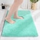 Disolla Mint Green Bathroom Rug 17x24 NonSlip Plush Small Bath Mat Highly Absorbent Ultra Soft Fluffy Floor Mat Machine Washable for Shower and Tub