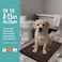 ITSOFT Memory Foam Bath Mat 24x16 Non Slip Machine Washable Quick Dry Absorbent Rugs Bath Mats for Bathroom Floor Tub Shower Bathroom Rug Chocolate Brown