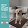 ITSOFT Memory Foam Bath Mat 24x16 Non Slip Machine Washable Quick Dry Absorbent Rugs Bath Mats for Bathroom Floor Tub Shower Bathroom Rug Chocolate Brown