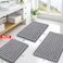Smiry Bathroom Rugs Mat 30x20 Extra Soft Absorbent Chenille Bath Rugs Non Slip Rubber Backing Machine Washable Quick Dry Bath Mats for Bathroom Floor Tub Shower Home Decor Accessories Grey