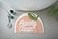 AllLove4U Creative Semicircle Half Round Soft Plush Bath Mat AntiSlip Bathroom Indoor Mats Sitting Room Doormats Room Rugs Bathmat Home Decor Pink