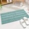 KGORGE Quick Drying Bathroom Rugs NonSlip Bath Mat Water Absorbent Thick Shaggy Chenile Bathtub Set for Toilet Kitchen Entryway Aqua 47 x 17 1 Pc