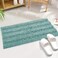 KGORGE Quick Drying Bathroom Rugs NonSlip Bath Mat Water Absorbent Thick Shaggy Chenile Bathtub Set for Toilet Kitchen Entryway Aqua 47 x 17 1 Pc