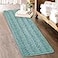 KGORGE Large Bathroom Rugs Decorations Soft Bath Mat Water Absorbent NonSlip Quick Drying Thick Shaggy Chenile Bathtub Set for Toilet Kitchen Entryway Aqua 60 x 24 1 Piece