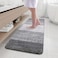 Arotive Microfiber Bathroom Rugs Shaggy Soft and Absorbent Bath Rug NonSlip Thick Plush Machine Washable Dry Bath Mats for Bathroom Tub and Shower 59x20 Grey Rectangular