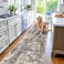BYYVOO 3x20 ft Extra Long Hallway Runner Rug NonSlip Washable Floor Runner with Rubber Backing Modern Low Pile Thin Wide Carpet for Entryway Kitchen Living Room Brown Beige 3x20