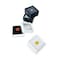 Teensery 10 Pcs Gemstone Display Box Small Plastic Loose Diamond Gemstone Box Case Jewelry Storage Container Organizer with Clear Top Lids White