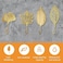 MOROBOR Decorative Iron Hooks 4Piece Ginkgo Maple Leaf Shape Gold Wall Mounted Key Holder and Hanger for Towel Coat Photo Bag Umbrella