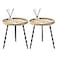 LITA 2 Pcs Round Side End Table Nightstand Tables Log Desktop Wooden Tray Table with Black Metal Stand End Table for Living Room Bedroom Office Small Spaces M
