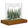 FTONENI Be Strong and Courageous Sign Joshua 19 Bible Verse Sign Scripture Plaque Boys Room Sign Acrylic Desk Decor Sign with Wood Stand FSA057