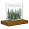 FTONENI Be Strong and Courageous Sign Joshua 19 Bible Verse Sign Scripture Plaque Boys Room Sign Acrylic Desk Decor Sign with Wood Stand FSA057