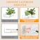 LAZYROSY 4 Pack Floating Shelves Clear AcrylicPET WallMounted No Drill Storage with Adhesive Invisible Bathroom Bedroom Shelving for Kitchen Living Room Transparent Decor