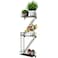 Zonon Black 3 Tier Fire Escape Wall Shelf Hanging Metal Ladder Shelves Wall Decor Decorative Bookshelf Organizer Floating Trinket Shelves Action Figure Shelf for Home Bedroom Storage Display