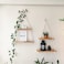 NWOOD Hanging Shelves for Wall Living Room Bedroom Boho Room Decor Aesthetic Hanging Plant Shelf Decor Floating Shelves Rope Shelves for Bedroom Aesthetic Boho Decor by Design Patented