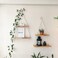 NWOOD Hanging Shelves for Wall Living Room Bedroom Boho Room Decor Aesthetic Hanging Plant Shelf Decor Floating Shelves Rope Shelves for Bedroom Aesthetic Boho Decor by Design Patented