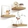 Venusmiles Square Floating Shelves for Wall 8W x 8D x 12H Small Engineered Wood Wall Shelves with Invisible Brackets for Living Room Bedroom Bathroom Office Kitchen Storage Decor Oak Finish Set of 3