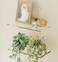 QsQueen Acrylic Floating Shelves with Solid Wood Base Wall Mounted Shelf for Plants Perfume Nail Polish Bathroom Bedroom Living Room Dcor