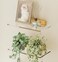 QsQueen Acrylic Floating Shelves with Solid Wood Base Wall Mounted Shelf for Plants Perfume Nail Polish Bathroom Bedroom Living Room Dcor