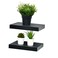 WELLAND Set of 2 Floating Shelves Wall Mounted Shelf for Home Decor with 8 Deep Black 10 inch
