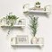 J JACKCUBE DESIGN White Wood Floating Shelves Set of 3 Wall Mounted Hanging Shelves with Gold Wire Frames for Bedroom Living Room Kitchen Bathroom and Office MK696C