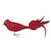 Old World Christmas Large Red Cardinal Glass Blown Ornament for Christmas Tree Handcrafted Holiday Decoration Bird Watcher Clip Collection