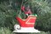 Conversation Concepts French Bulldog Sleigh Ride Christmas Ornament Red Delightful