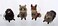 Kurt S. 35 to 6Inch Buri Woodland Animal Ornament Set 4 Assorted Styles